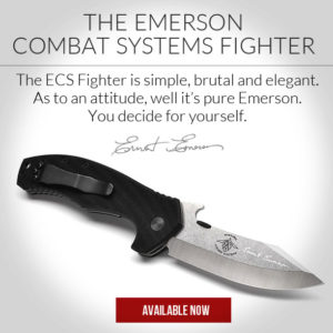 Emerson Combat Systems Fighter